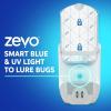 imageZevo 2 Flying Insect Traps ampamp 4 Refill Cartridges  Plug in Fly Trap ampamp Indoor Bug Catcher for Gnats House ampamp Fruit Flies  Blue ampamp UV Light Technology MessFree Alternative to Bug Zapper4 Devices  4 Cartridges